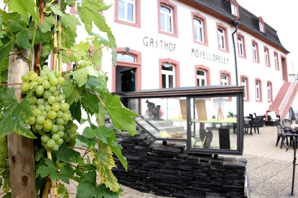Hotel- Weingut- Moselloreley Piesport Exterior foto